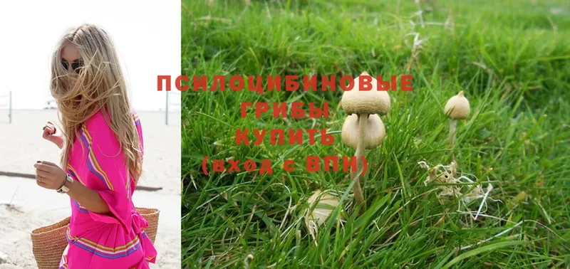 Псилоцибиновые грибы MAGIC MUSHROOMS Балашов